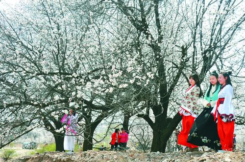 太阳成集团tyc151cc 创新能源与科技